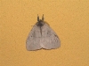 photo12