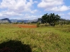 photo038 photo038