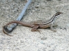 photo058 photo058