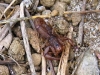 photo6