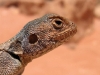 photo016