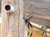 photo034
