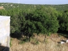 photo046