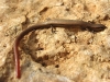 photo057 photo057