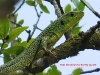 photo077 photo077