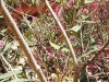 photo082 photo082