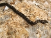 photo089 photo089