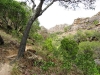 photo13