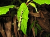 photo15