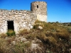 photo16