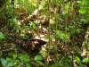 photo048 photo048