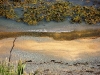 photo20
