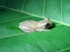 photo20